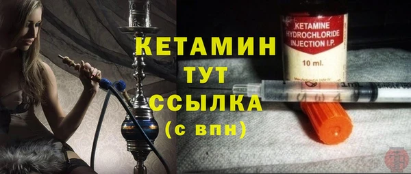 прущие грибы Михайловск