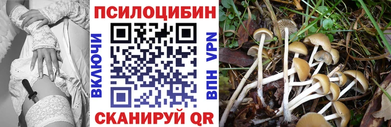 Псилоцибиновые грибы прущие грибы Северодвинск