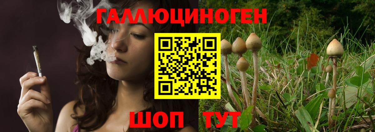 Галлюциногенные грибы MAGIC MUSHROOMS Северодвинск